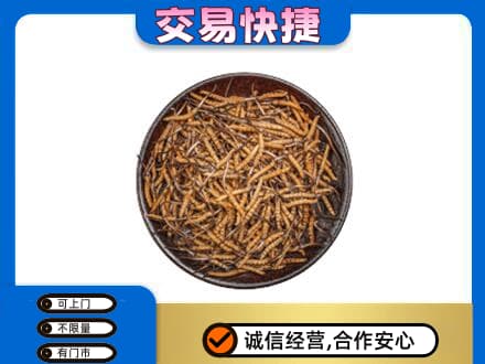 海北州回收散虫草